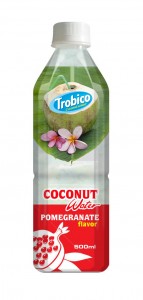 500ml Fruit Flavour Coconut Water